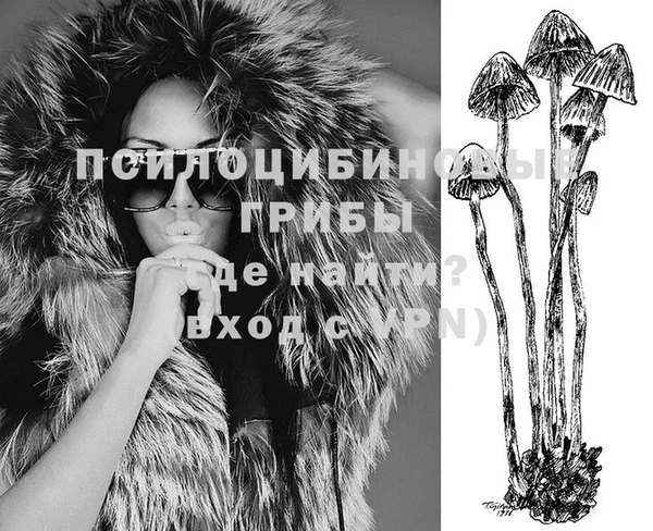 ешки Алзамай